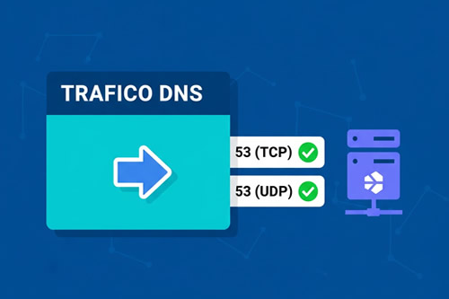 trafico dns a través del puerto 53 de un firewall